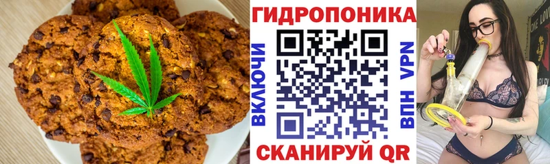 darknet как зайти  Среднеуральск  Canna-Cookies марихуана  купить  цена 