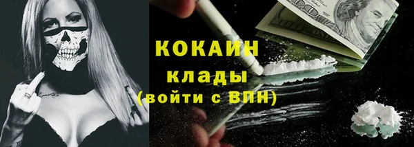 ПСИЛОЦИБИНОВЫЕ ГРИБЫ Аркадак