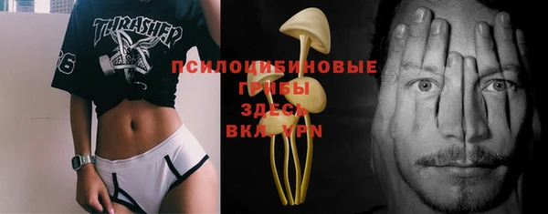 ПСИЛОЦИБИНОВЫЕ ГРИБЫ Аркадак