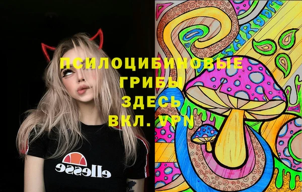 ПСИЛОЦИБИНОВЫЕ ГРИБЫ Аркадак