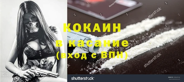 ПСИЛОЦИБИНОВЫЕ ГРИБЫ Аркадак