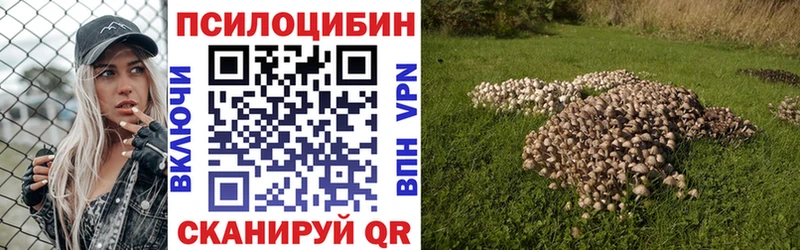 Галлюциногенные грибы мицелий  Среднеуральск 
